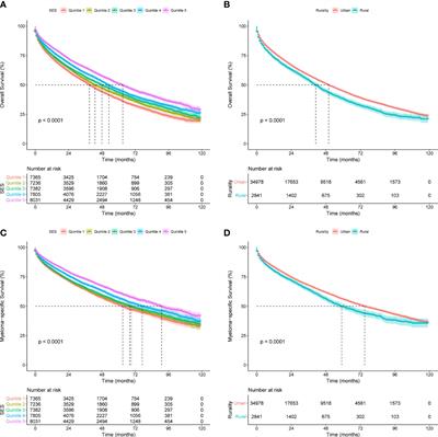 Socioeconomic status-based survival disparities and nomogram prediction for patients with multiple myeloma: Results from American and Chinese populations